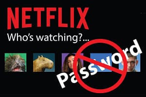 Netflix Password Sharing